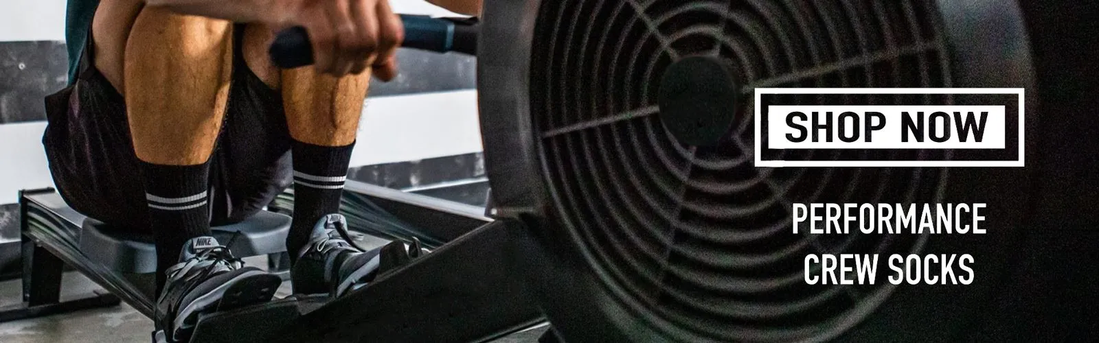 banner1